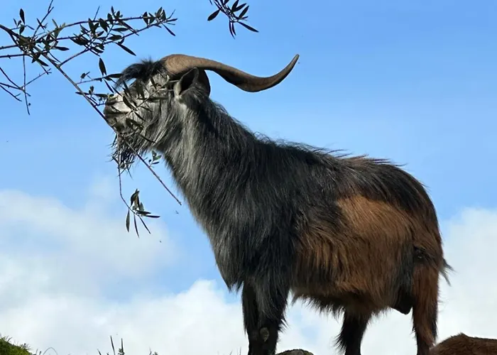 Σπίτι διακοπών Casa Elena *